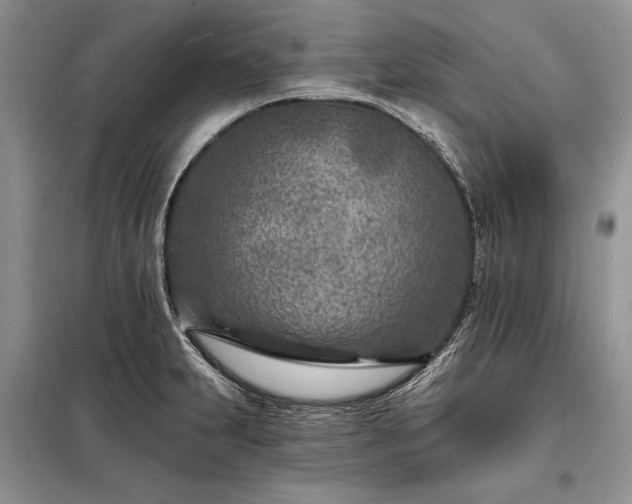 X0000098201231200805011139