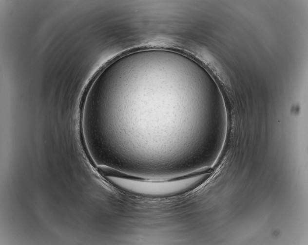 X0000098201232200805011139