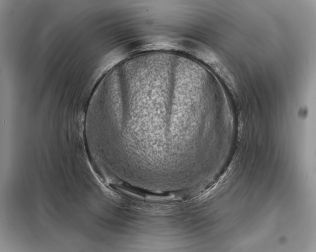 X0000098201233200805011139