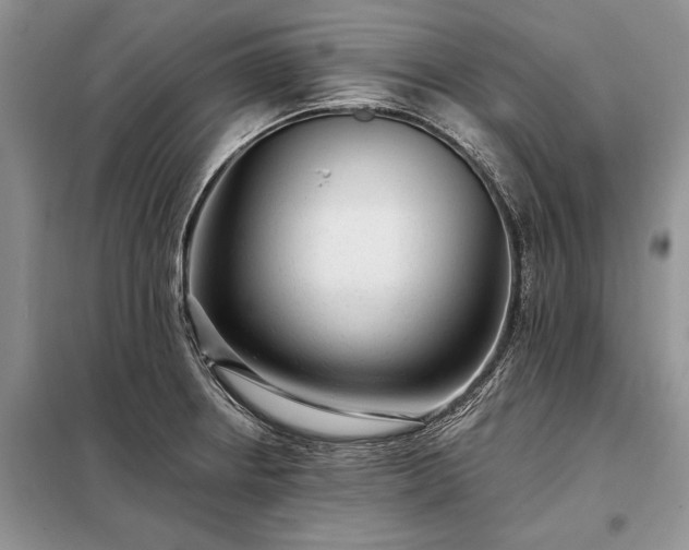 X0000098201234200805011139