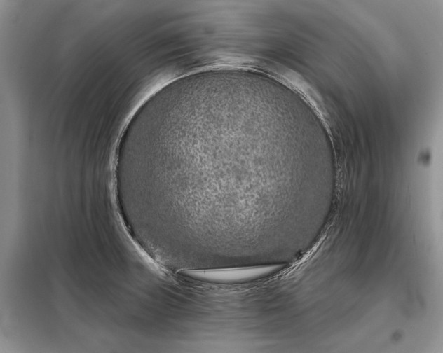 X0000098201235200805011139