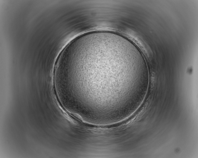 X0000098201236200805011139