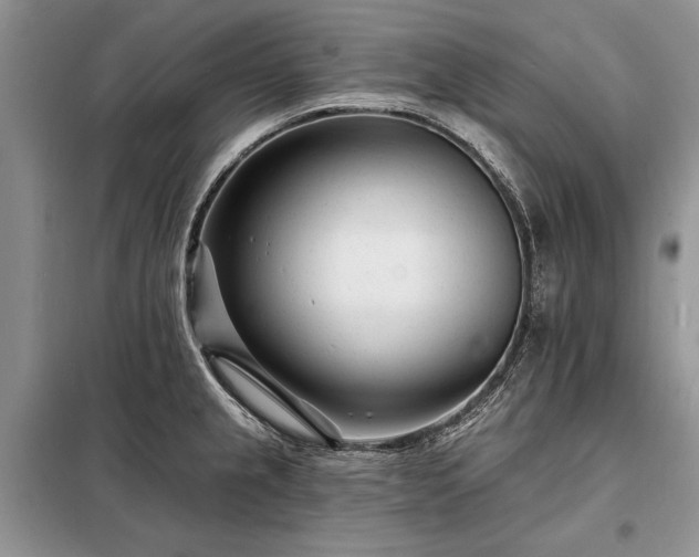 X0000098201237200805011139
