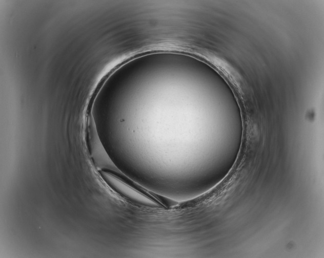 X0000098201238200805011139