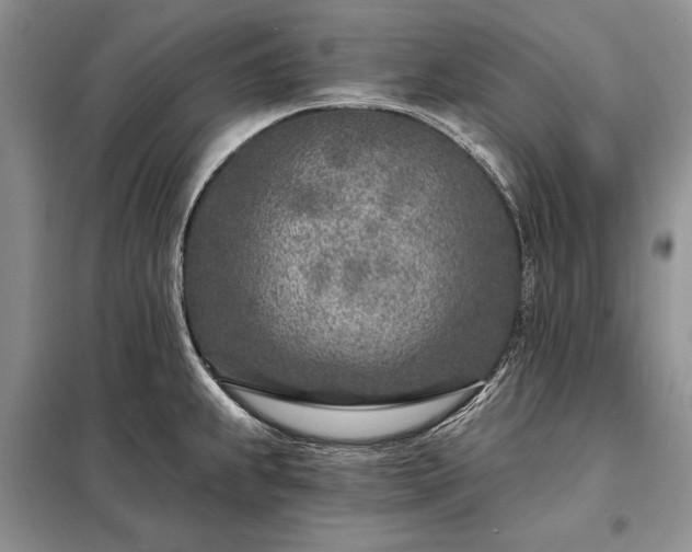 X0000098201239200805011139