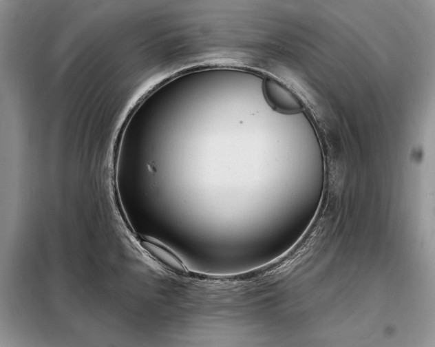 X0000098201240200805011139