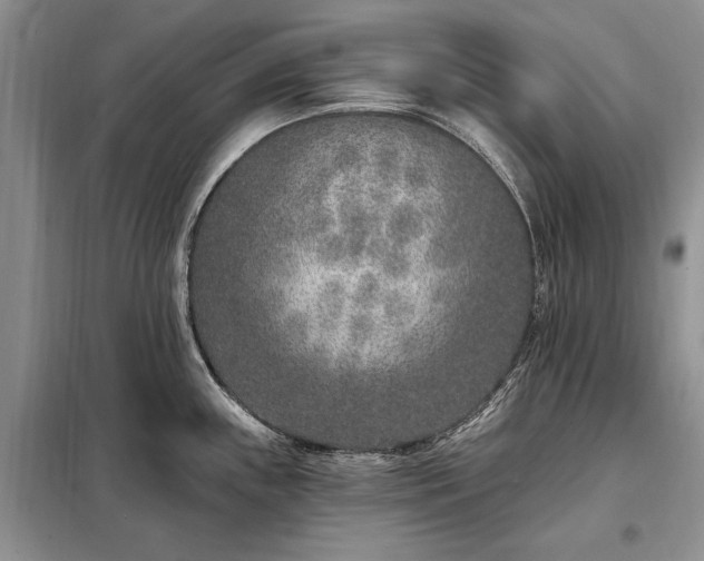 X0000098201243200805011139