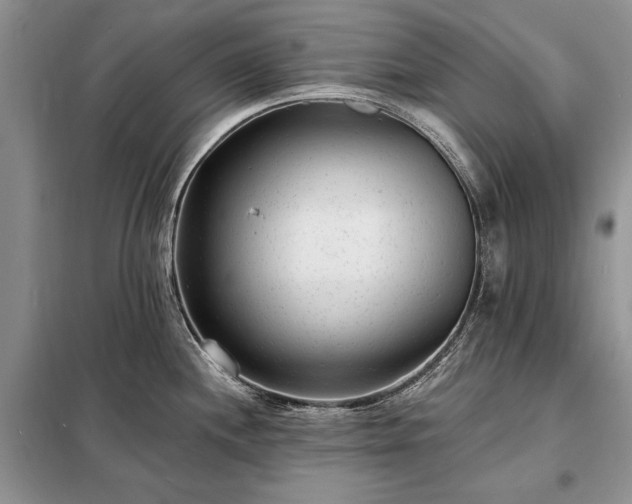 X0000098201244200805011139