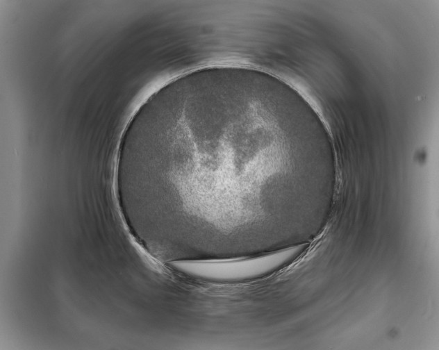 X0000098201245200805011139