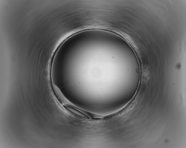 X0000098201246200805011139