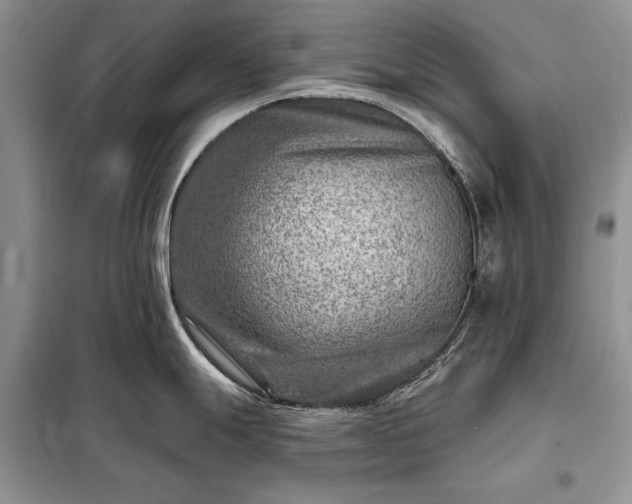 X0000098201247200805011139