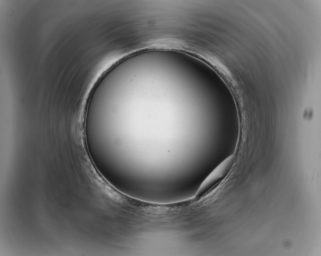X0000098201248200805011139