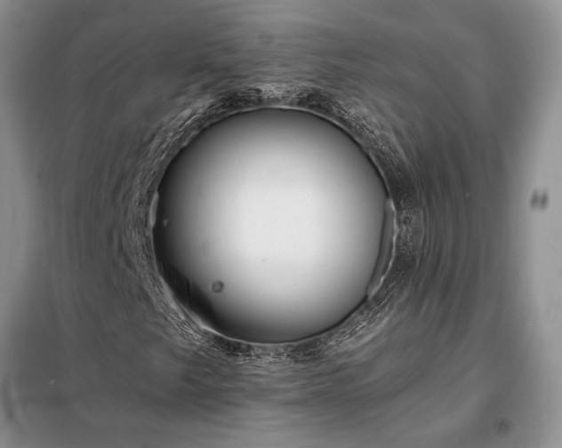 X0000098201249200805011138