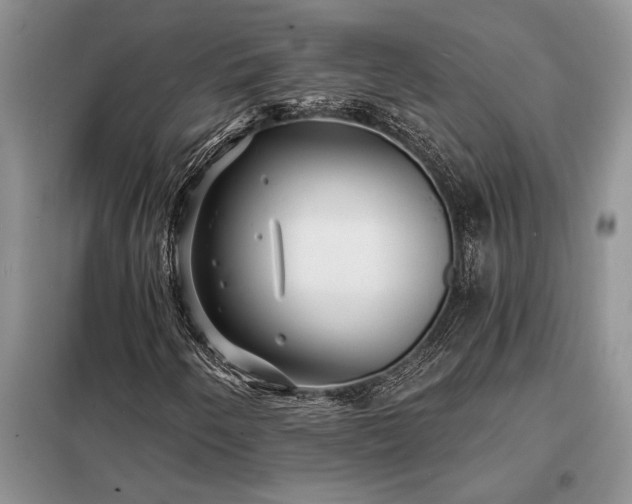 X0000098201250200805011138