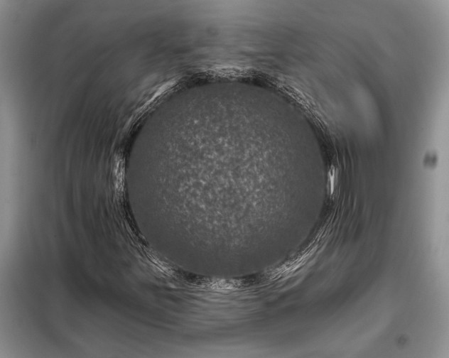 X0000098201251200805011138