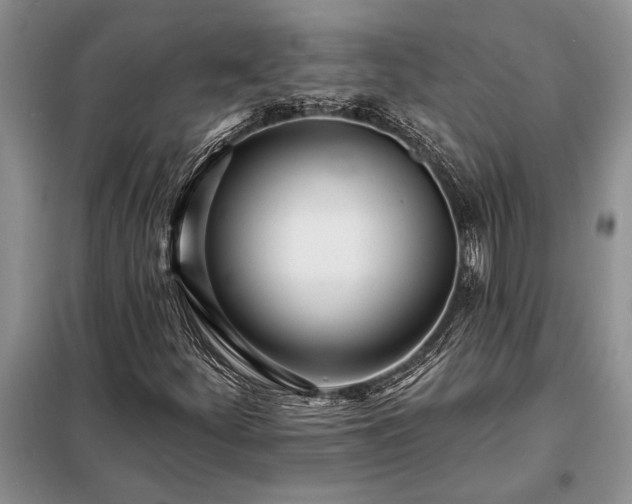 X0000098201252200805011138