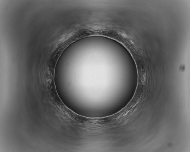 X0000098201253200805011138