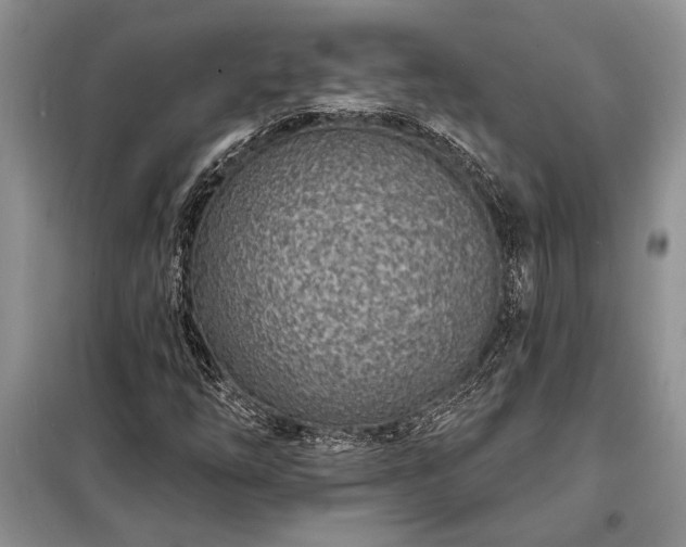 X0000098201254200805011138