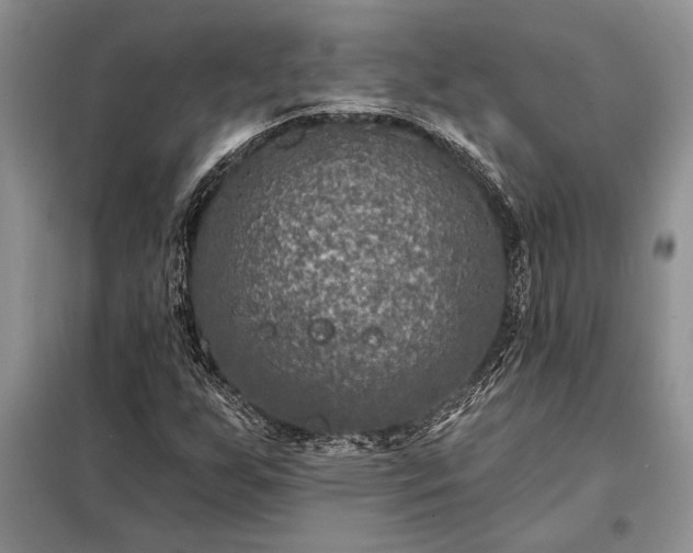 X0000098201255200805011138