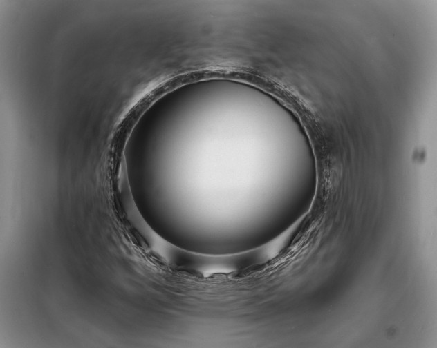 X0000098201256200805011138