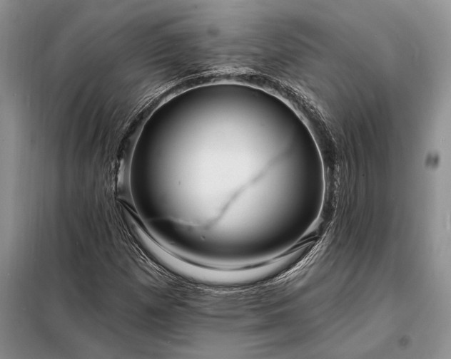 X0000098201257200805011138
