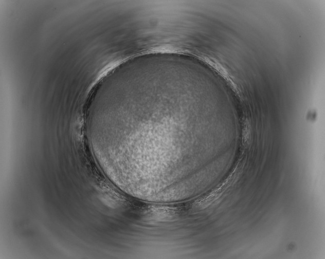 X0000098201258200805011138
