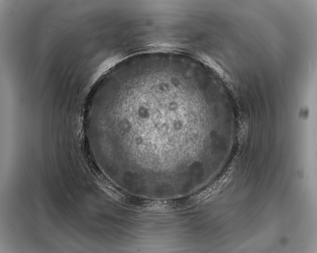 X0000098201259200805011138