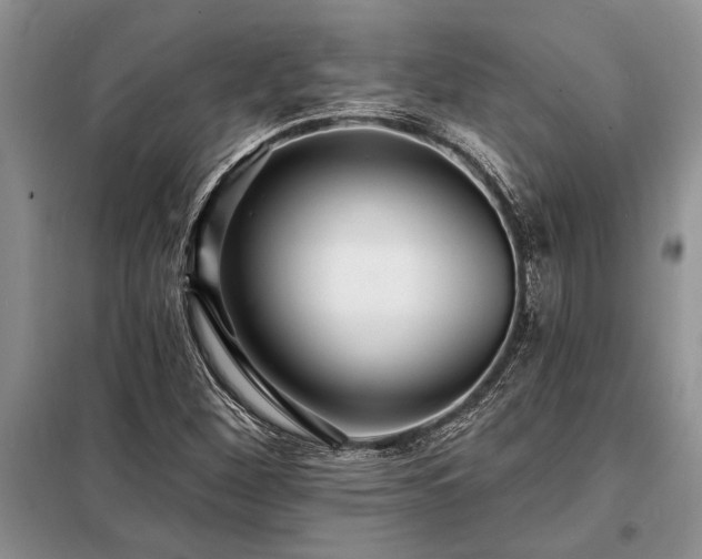 X0000098201260200805011138