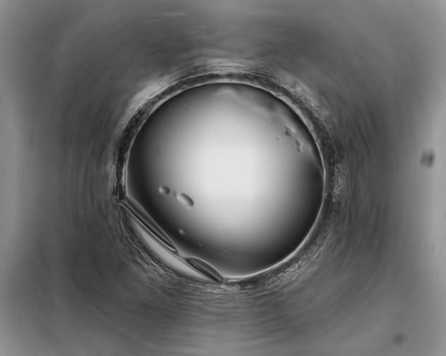 X0000098201261200805011138