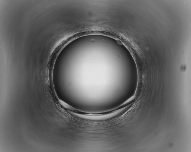 X0000098201262200805011138