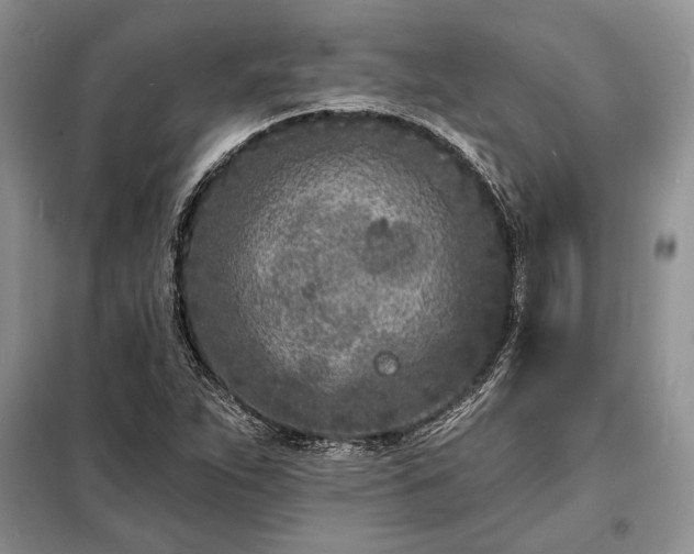 X0000098201263200805011138