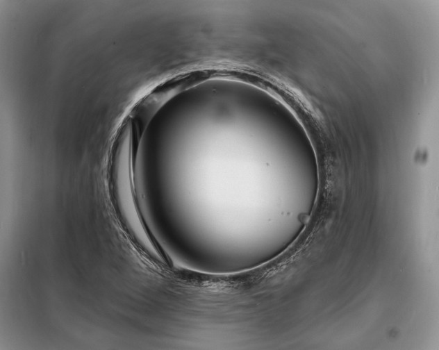 X0000098201264200805011138