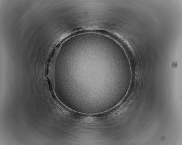 X0000098201265200805011138