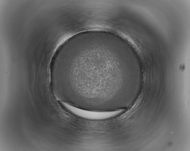 X0000098201267200805011138