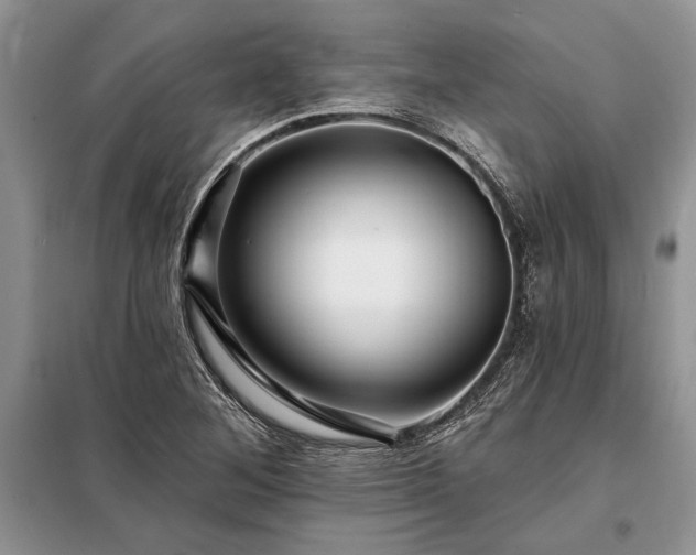 X0000098201268200805011138