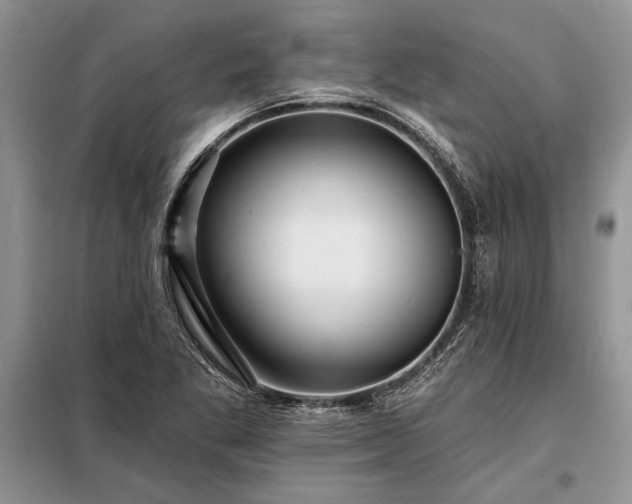 X0000098201269200805011138