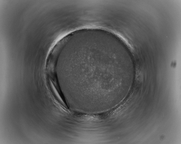 X0000098201270200805011138