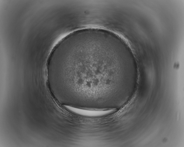 X0000098201271200805011138