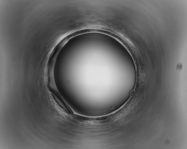 X0000098201272200805011138