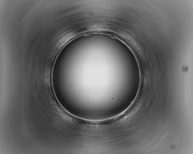 X0000098201273200805011138