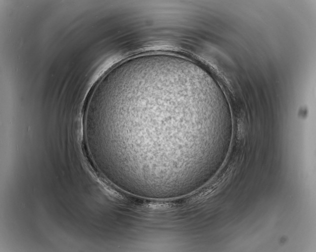 X0000098201274200805011138