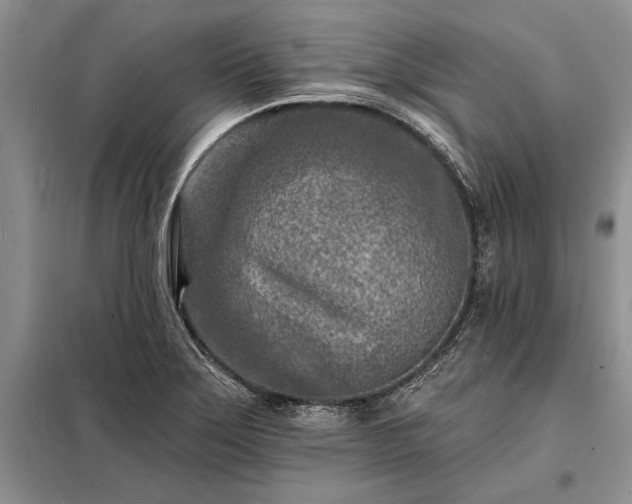 X0000098201275200805011138