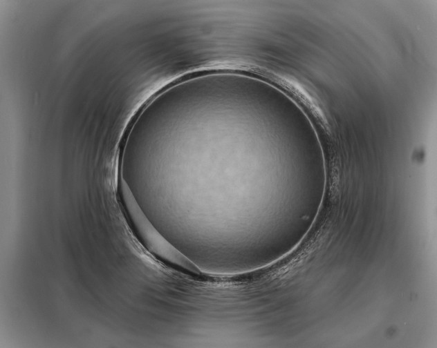 X0000098201276200805011138