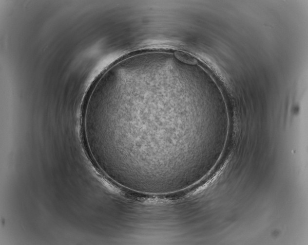 X0000098201277200805011138