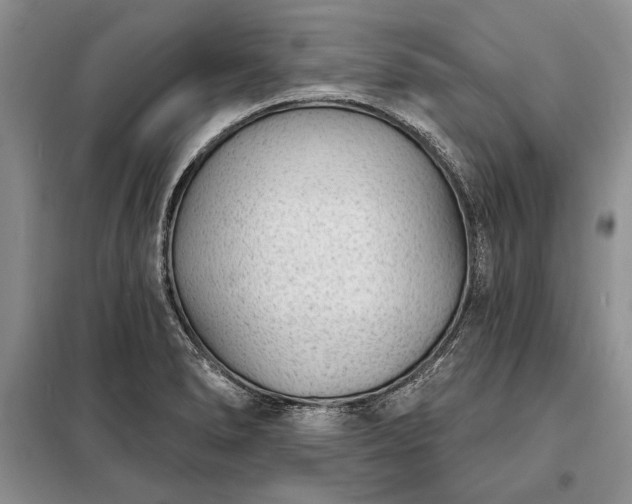 X0000098201278200805011138