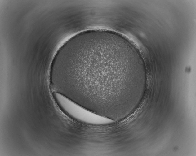 X0000098201279200805011138