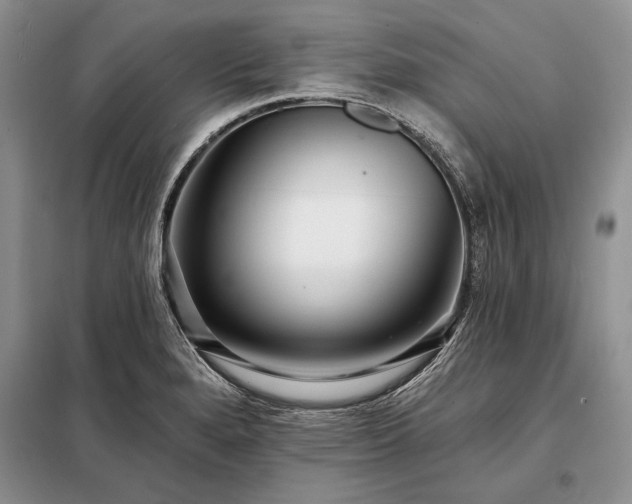 X0000098201280200805011138