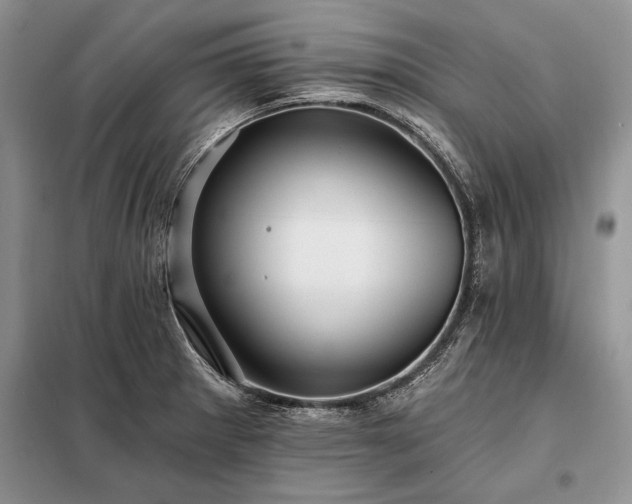 X0000098201281200805011138
