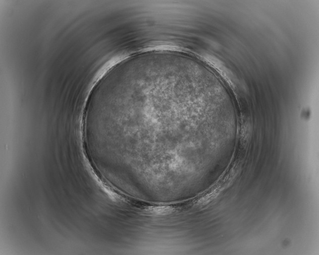 X0000098201282200805011138