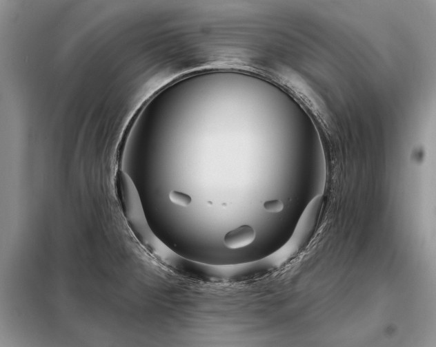 X0000098201284200805011138